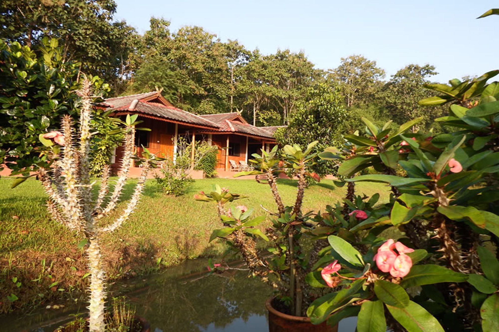 Noks Garden Resort Chiang Rai Zewnętrze zdjęcie